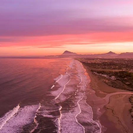 Moss Rose By On Travel *