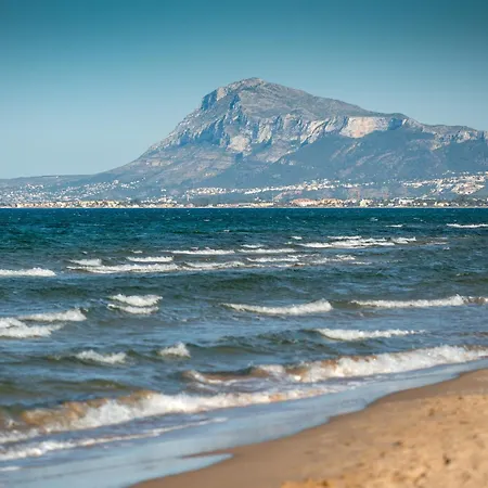 Moss Rose By On Travel * Oliva